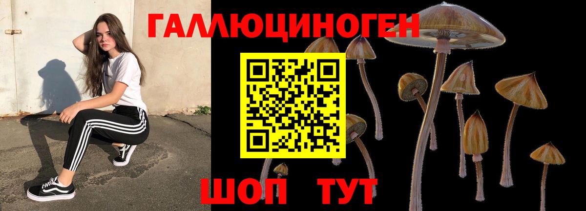 Электросталь  Псилоцибиновые грибы прущие грибы  Вход с VPN 